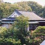 Arai kasuminomune