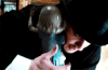 Tumblr mogum6y2ys1qj2wy9o1 r1 250