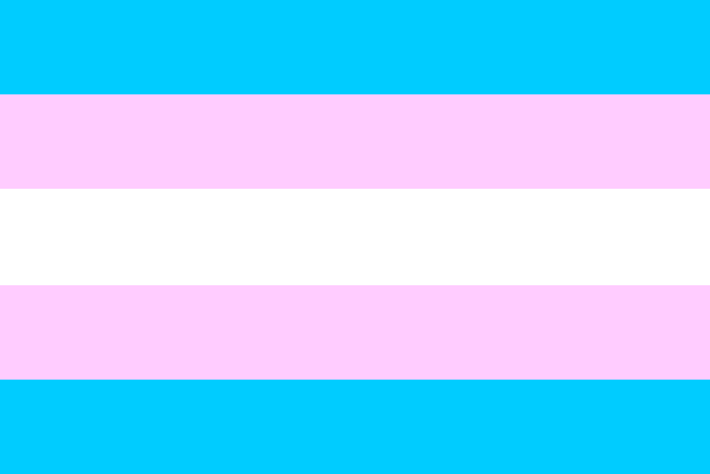 File:Transgender Flag.gif
