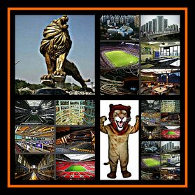 Lion Pride Academy