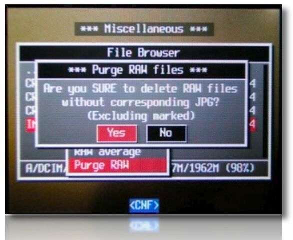 File:Purge RAW Yes.jpg
