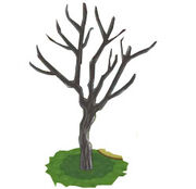 Arbol3