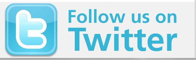 File:700px-Twitterbutton.jpg