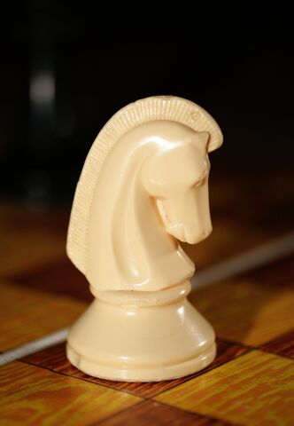 File:Chess knight 0971 e3jq.jpg