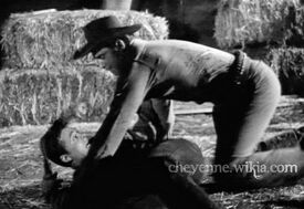 Thebrand-fightwithclaystable-cheyenne