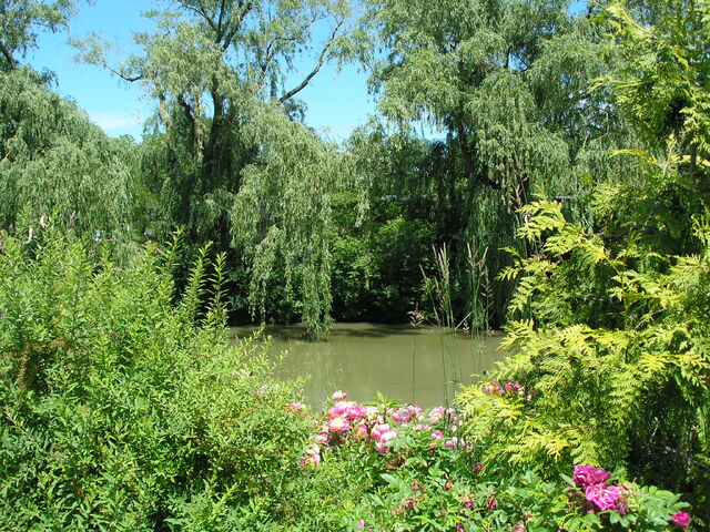 File:CBG lake and flowers.jpg