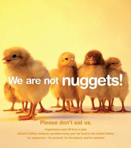 File:Animals-are-not-ours-to-eat-peta-7363357-472-530.jpg