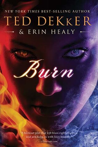 File:Ted Dekker- Burn.jpg