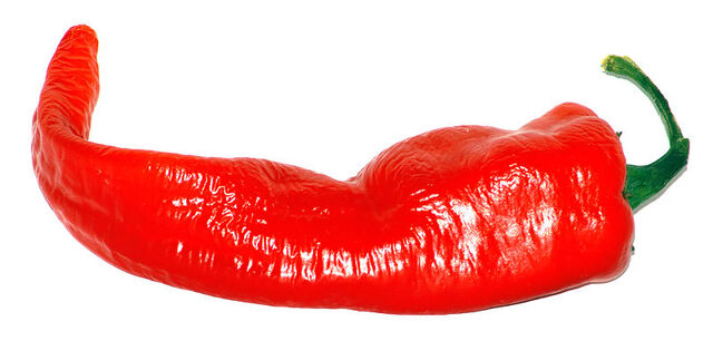 File:Large Cayenne.jpg
