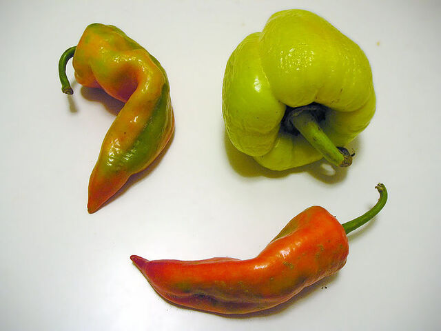 File:Paprika.fruits.three.j.jpg