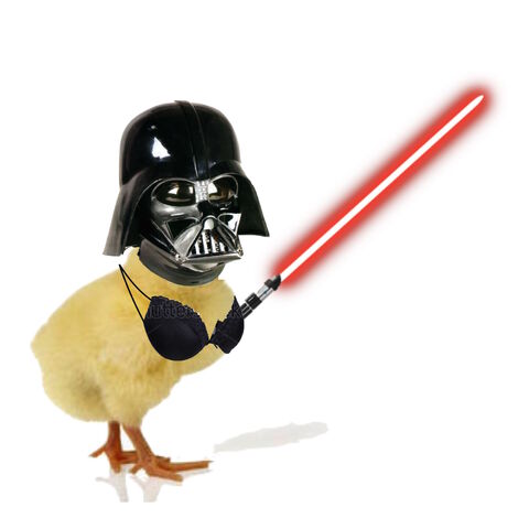 File:Vaderchick.jpg