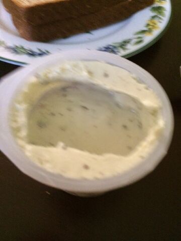 File:Mint chocolate yogurt.jpeg
