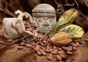 Cocoa-beans-olmecs