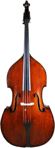 File:Bass2.jpg