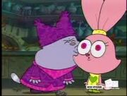 Chowder x Panini