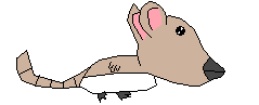 File:Chew.png