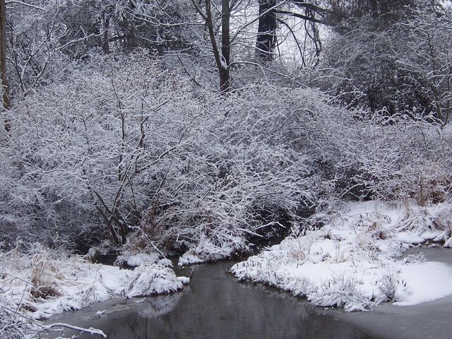 File:December.jpg