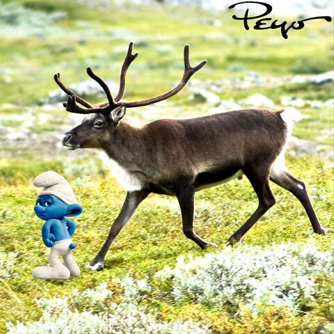 File:Grouchy with the Reindeer.jpg