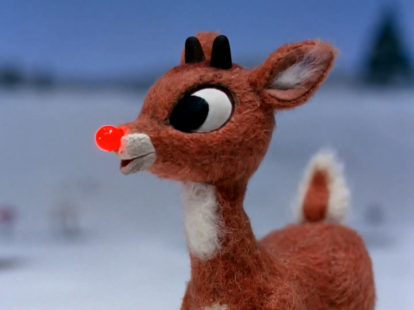Picture Of Rudolph 7