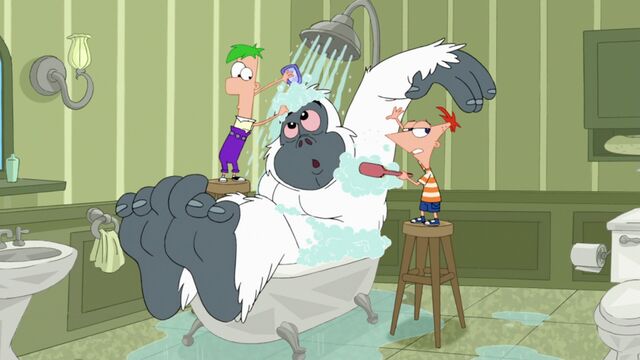 File:Showering a Yeti.jpg