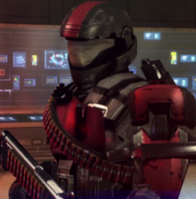 Insurrectionist