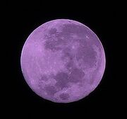 Violet-moon-2