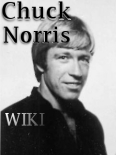 File:Wiki.PNG