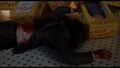 Thumbnail for version as of 17:01, October 14, 2016