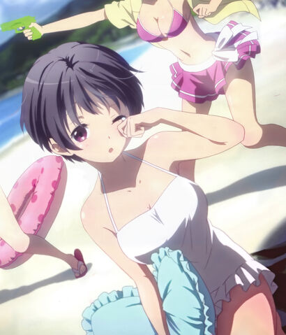 File:Chuunibyo.Demo.Koi.ga.Shitai!.full.1395235 copy.jpg