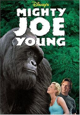 Joe1998.jpg