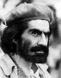 Araya salvaje hugo.jpg