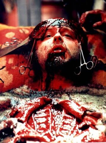 Archivo:Viviseccion.jpg