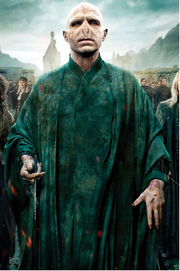 Voldermort