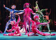 Slippery Surface - Varekai.jpg