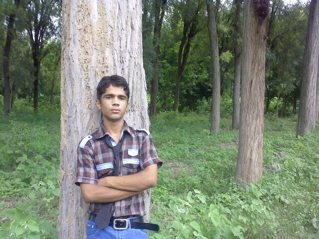 File:02082009042.jpg
