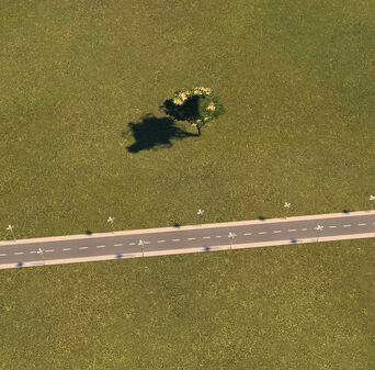 Road