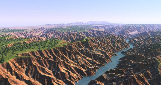 The Grassy Canyons