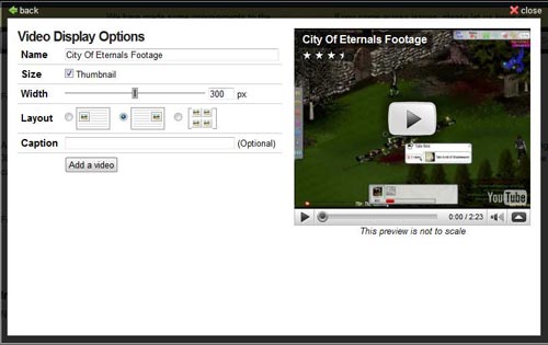 Video Display Options