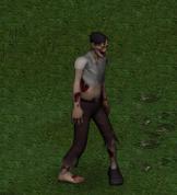 Zombie
