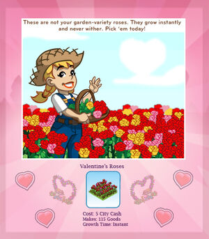 Valentine-Roses