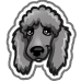 Poodle-icon