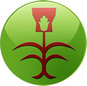 Burundi