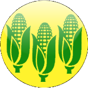 MidwestRegion