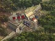 Brazil-wood camp