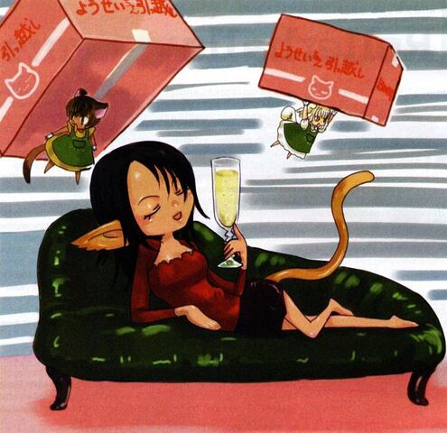 Fichier:Igarashi7.jpg