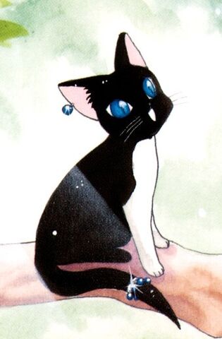 Fichier:Ruri chatte.jpg
