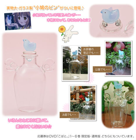 Fichier:Kobato bouteille.jpg