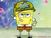 Fotos-bob-esponja-militar.jpg