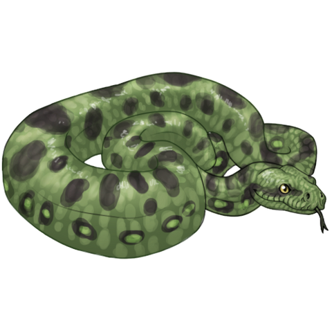 File:Item anaconda.png