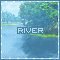 File:Avatar forest river.gif